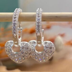 B.P argola zirc. ping. coração