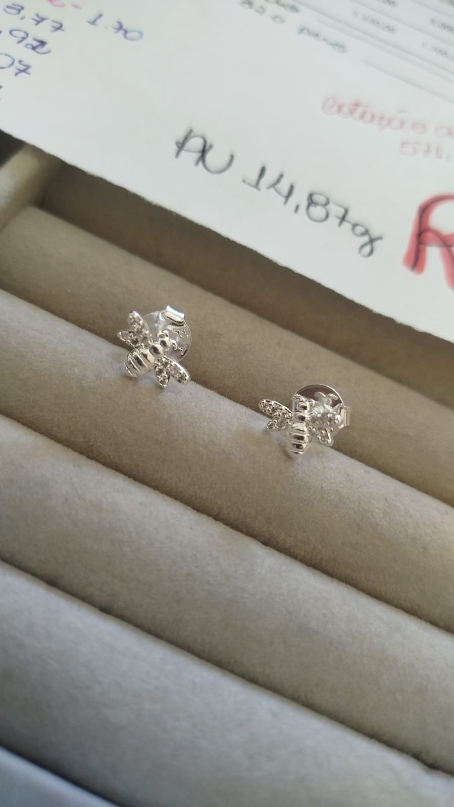 B.P abelha zirc. crav. infantil