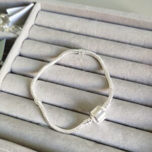 P.P pandora com divisor