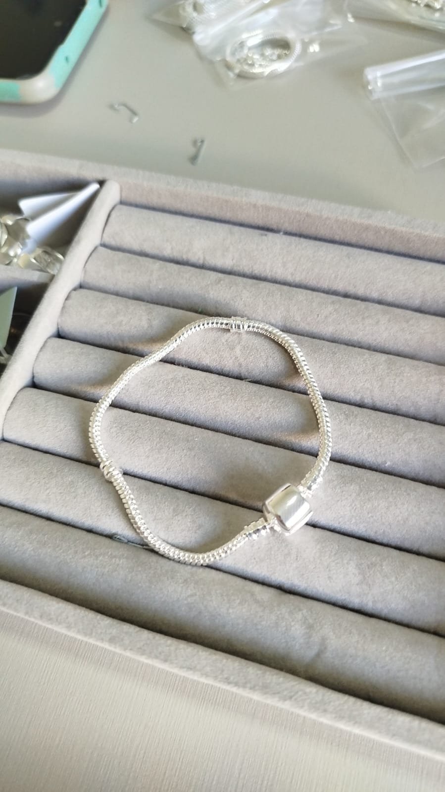 P.P pandora com divisor