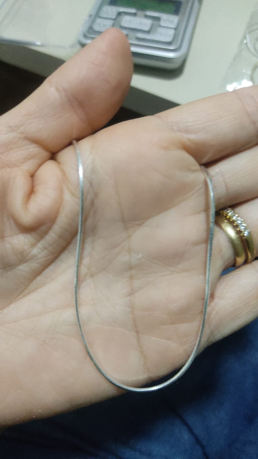 C.P rabo de rato rígida