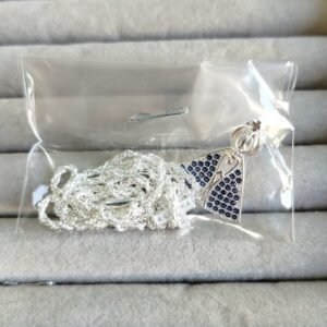 Gar. P N. Sra. Aparecida cruz